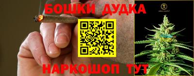 сатива Кулебаки