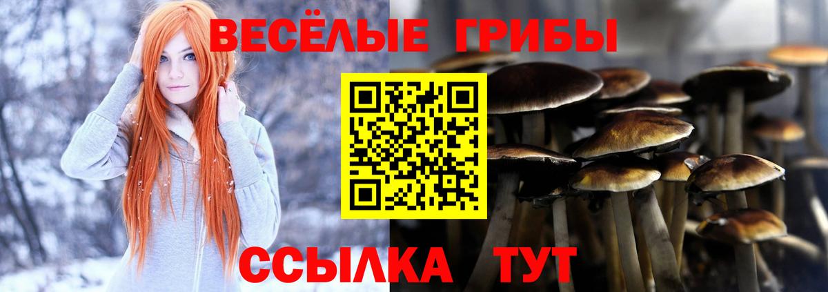 Псилоцибиновые грибы GOLDEN TEACHER Биробиджан